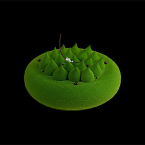 Tort Kioto